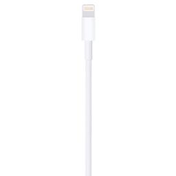 Refurbished Apple Lightning to USB Cable (1M) - Reebelo Nederland
