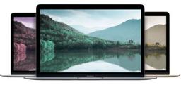 Refurbished MacBook (Early 2015) 12-inch - Reebelo Nederland