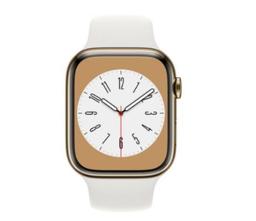 Refurbished Apple Watch Series 5 - Reebelo Nederland