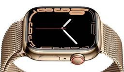 Refurbished Apple Watch Series 7 - Reebelo Nederland
