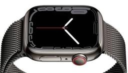 Refurbished Apple Watch Series 7 - Reebelo Nederland