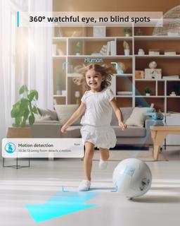 Refurbished Blurams A31 Dome Lite Security Camera  - Reebelo Nederland