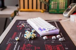 Refurbished CHERRY MX RGB Blue Switch Kit - Reebelo Nederland