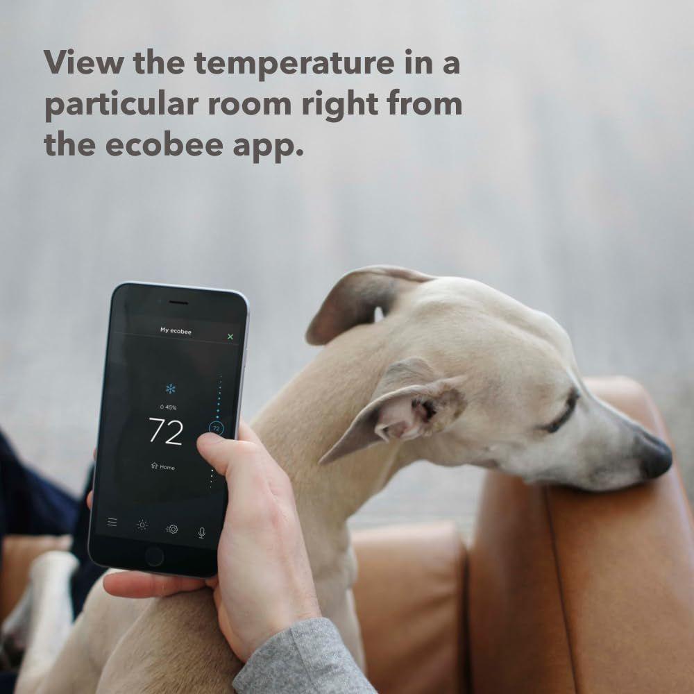 Refurbished Ecobee SmartSensors for Indoor (2 Pack) - Reebelo Nederland