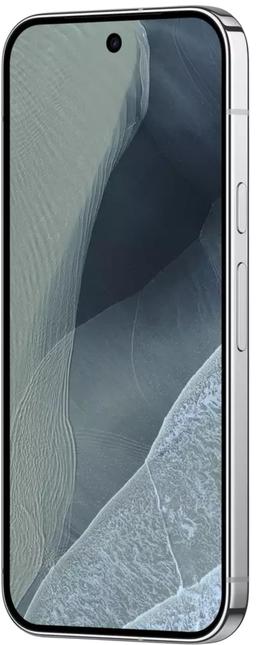 Refurbished Google Pixel 11 Pro - Reebelo Nederland