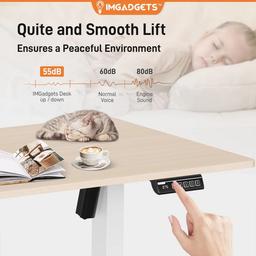 Refurbished IMGadgets Standing Electric Adjustable Desk 40" x 24" - Reebelo Nederland