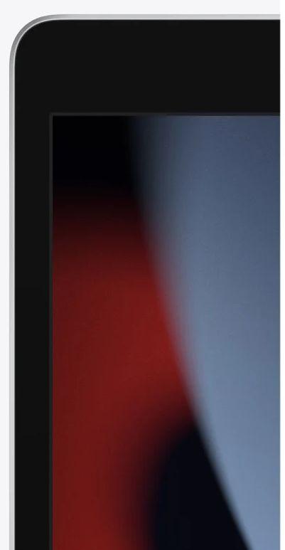 Refurbished iPad 10.2-inch (2021) 9th Gen - Reebelo Nederland