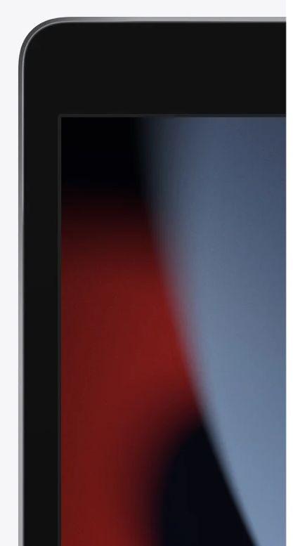 Refurbished iPad 10.2-inch (2021) 9th Gen - Reebelo Nederland