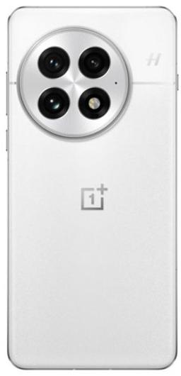 Refurbished OnePlus 13 - Reebelo Nederland