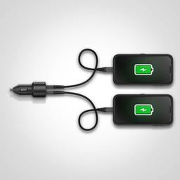 Refurbished OtterBox USB-A Dual Port Car Charger (24W) - Reebelo Nederland