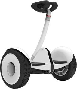 Refurbished Segway Ninebot S Self Balancing Scooter - Reebelo Nederland