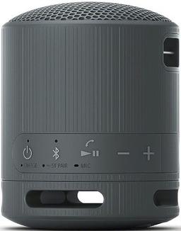 Refurbished Sony SRS-XB100 Portable Wireless Speaker - Reebelo Nederland