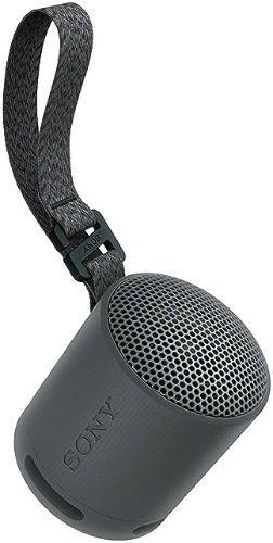 Refurbished Sony SRS-XB100 Portable Wireless Speaker - Reebelo Nederland