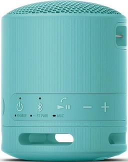 Refurbished Sony SRS-XB100 Portable Wireless Speaker - Reebelo Nederland
