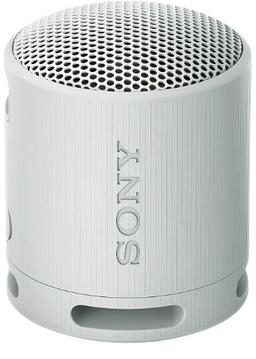 Refurbished Sony SRS-XB100 Portable Wireless Speaker - Reebelo Nederland