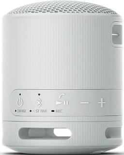 Refurbished Sony SRS-XB100 Portable Wireless Speaker - Reebelo Nederland