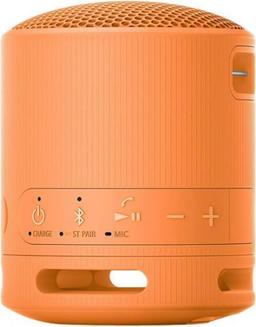 Refurbished Sony SRS-XB100 Portable Wireless Speaker - Reebelo Nederland